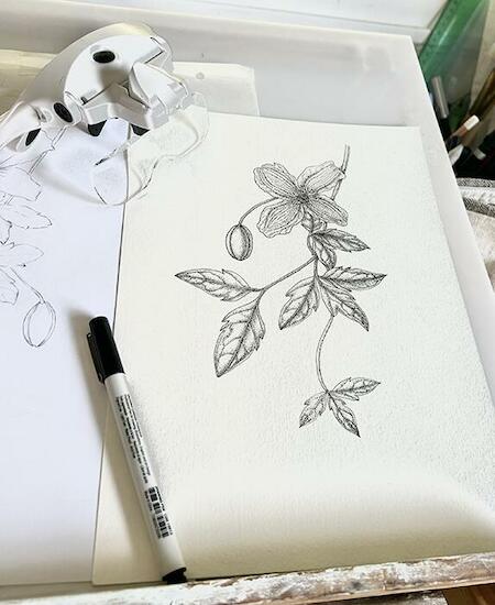 Dibujos