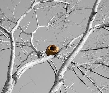 Premio PilarA 2018 de fotografía