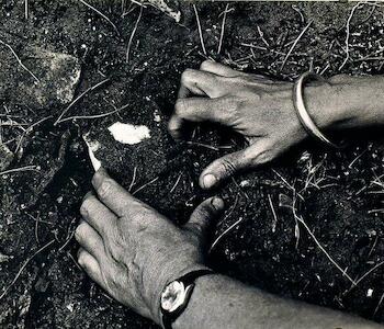 "Manos buscando en la tierra" de Marie Orensanz, 1979.