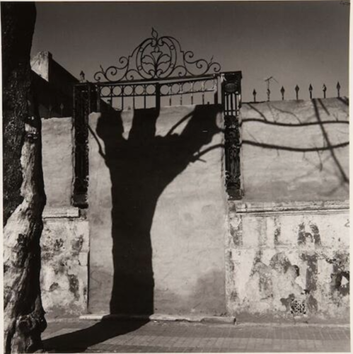 Travnik, Juan, Fecha: 1991, Técnica: Fotografía sobre papel, Medidas: 28,3 x 28 cm.