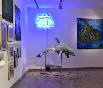 Tursiops Truncatus, Luis Fernando Benedit, 2008. Fotografía cortesía del Museo Nacional de Bellas Artes