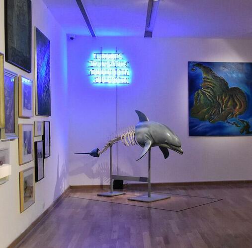 Tursiops Truncatus, Luis Fernando Benedit, 2008. Fotografía cortesía del Museo Nacional de Bellas Artes