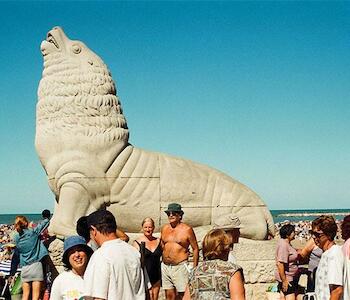 Lobo Marino. Autor: Goldenstein, Alberto (Argentina, Buenos Aires, 1951 - ). Fecha: 2001. Período: Arte Siglo XX - XXI (1945-actualidad). Técnica: Fotografía color. Medidas: 37 x 56 cm 