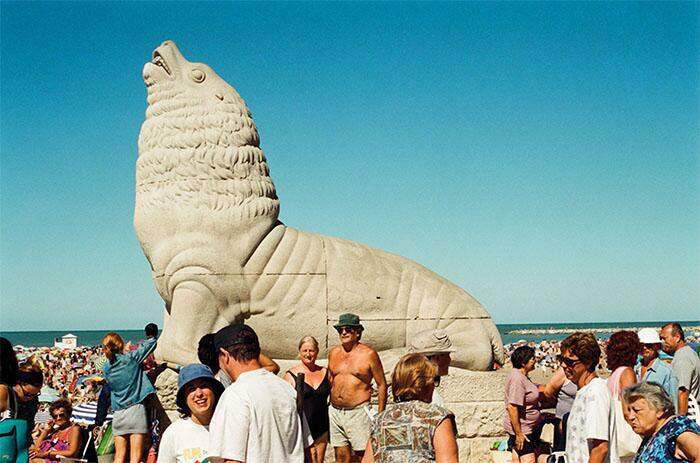 Lobo Marino. Autor: Goldenstein, Alberto (Argentina, Buenos Aires, 1951 - ). Fecha: 2001. Período: Arte Siglo XX - XXI (1945-actualidad). Técnica: Fotografía color. Medidas: 37 x 56 cm 