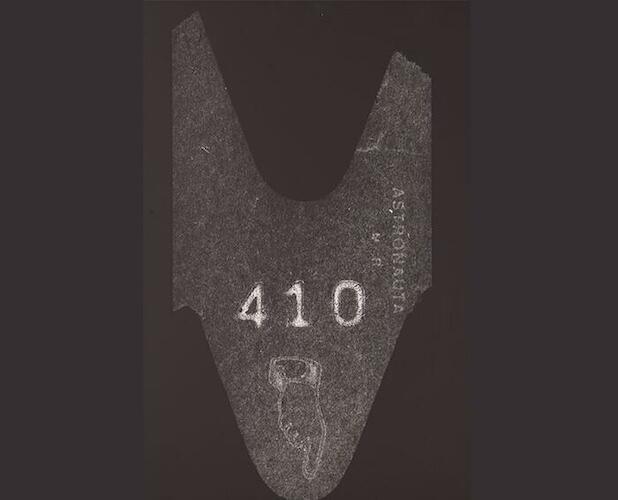 Sin título. Autor: Ostera, Andrea. Fecha: 1998. Técnica: copia manual gelatina de plata, Impresión en plata sobre gelatina sobre papel. Medidas: 63 x 53 cm. 