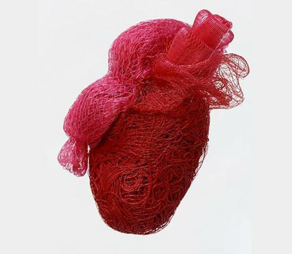 Rocío Coppola "Corazón" Malla plástica y redes, 30 x 30 cm. 2011