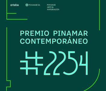 Se anunciaron los finalistas del Premio Pinamar Contemporáneo