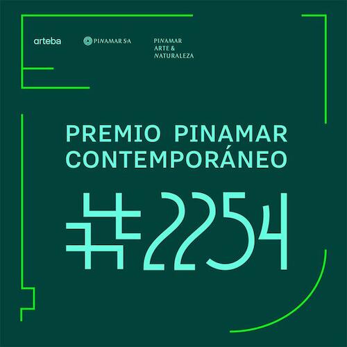 Se anunciaron los finalistas del Premio Pinamar Contemporáneo