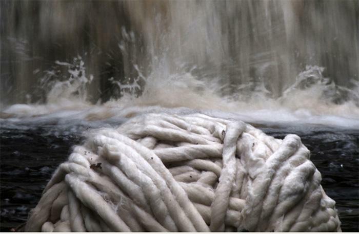 Teresa Pereda. El Tiempo del Agua. Recolección en la Amazonia: Cita en Morena.