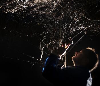 Tomás Saraceno en el MAMBA