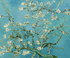 Van Gogh y Amigos del Bellas Artes: