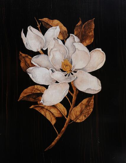 Magnolias