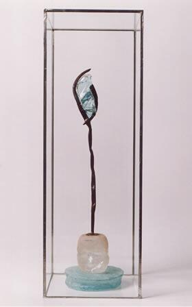Estudio de Ala de Insecto / Study of Insect Wing