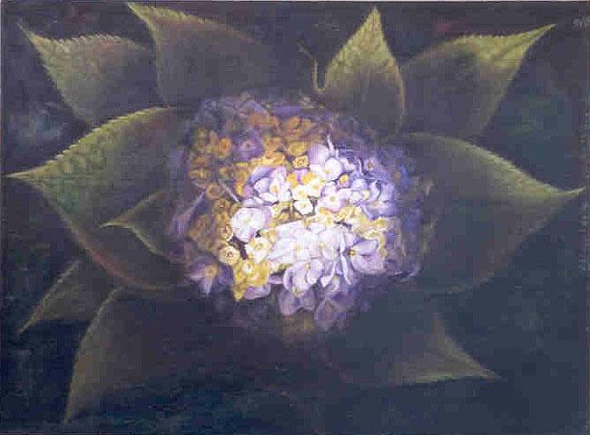 LUZ DE HORTENSIAS