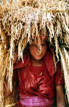 CHITWAN, MUJER CARGANDO